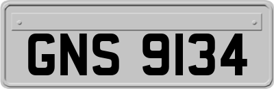 GNS9134