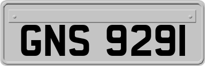 GNS9291