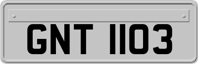 GNT1103