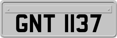 GNT1137