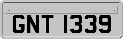 GNT1339