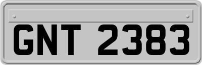 GNT2383