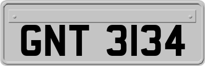 GNT3134