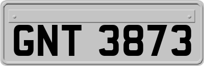 GNT3873