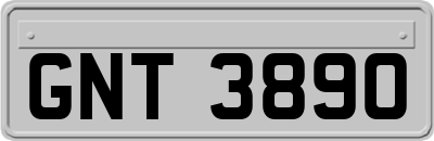GNT3890