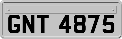 GNT4875