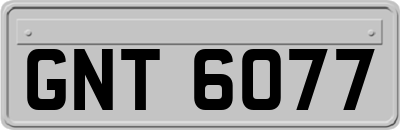 GNT6077