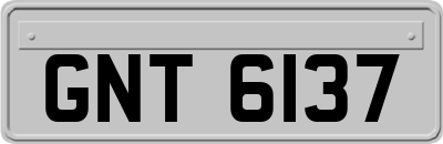 GNT6137