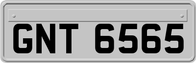 GNT6565
