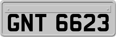 GNT6623