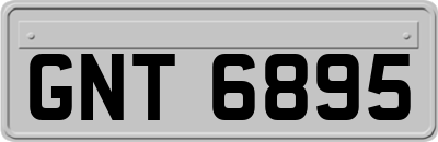 GNT6895