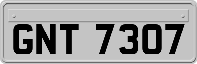 GNT7307