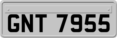 GNT7955