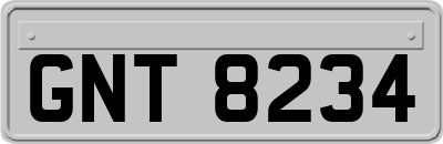 GNT8234