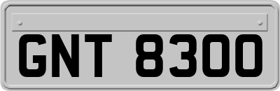 GNT8300