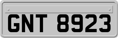 GNT8923