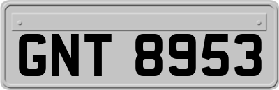 GNT8953