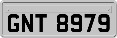 GNT8979