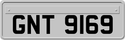 GNT9169