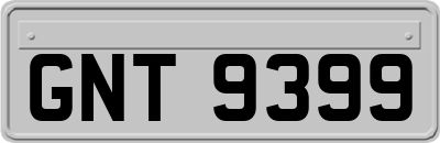 GNT9399