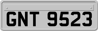 GNT9523