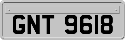 GNT9618