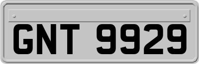 GNT9929