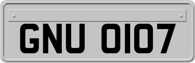 GNU0107