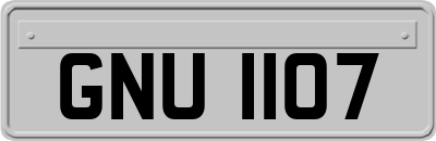 GNU1107