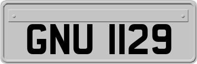 GNU1129