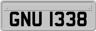 GNU1338