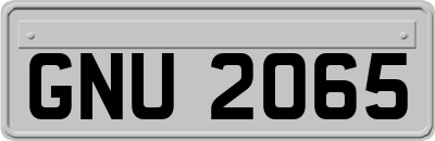 GNU2065