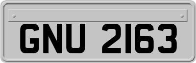 GNU2163