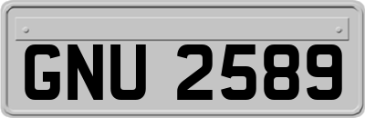 GNU2589