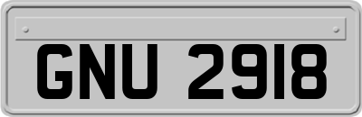GNU2918