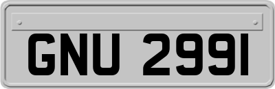 GNU2991