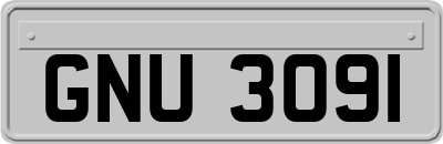 GNU3091