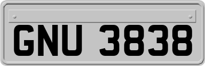 GNU3838