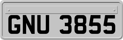 GNU3855