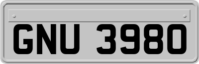 GNU3980
