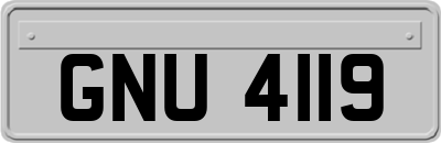 GNU4119