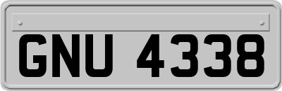 GNU4338