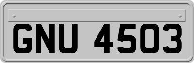 GNU4503