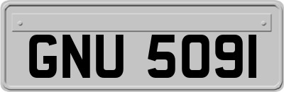 GNU5091