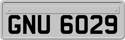 GNU6029