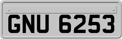 GNU6253