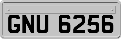 GNU6256