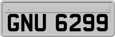 GNU6299