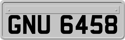 GNU6458