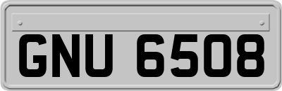 GNU6508